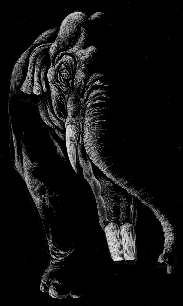 #2018MMM - March Mammal Madness - LibGuides at Arizona State University
