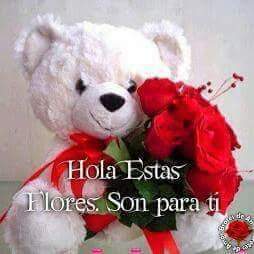 LuisAlb41458743's tweet photo. @MeDicenPaola  https://t.co/MnkYQ3i8KX