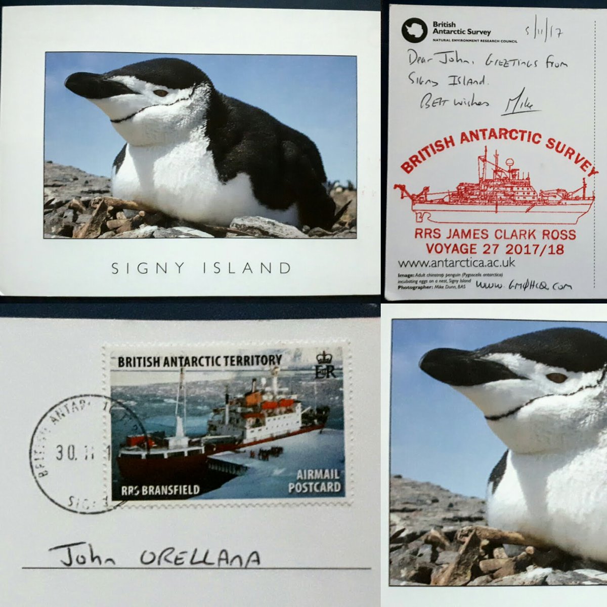 johnjotaO's tweet photo. Great postcard from #SignyIsland with image adult chinstrap #penguin thank Mike @gm0hcq #BrithishAntarcticSurvey #RSSJamesClarkRoss Voyage-27 2017/18 #Antarctica https://t.co/0Tf65h0qf7