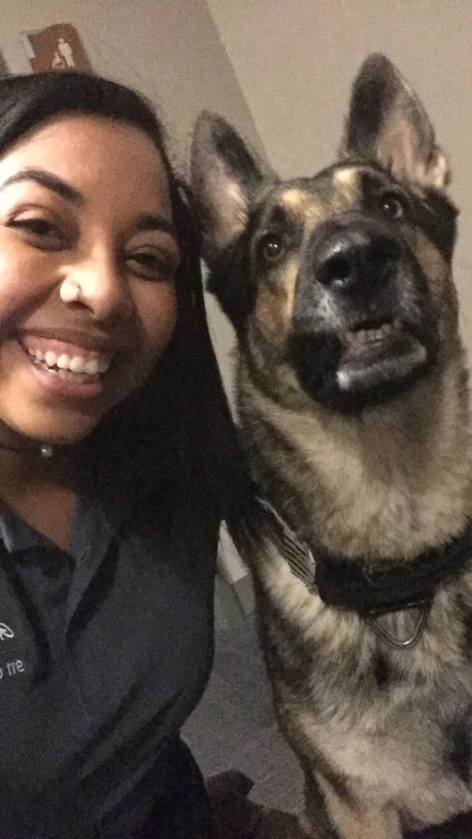 GP911Comm's tweet image. Got to meet the wonderful Max from our K-9 unit today! He's such a good boy and is always ready to strike a pose! 🐶 #GPPD #WoofWednesday