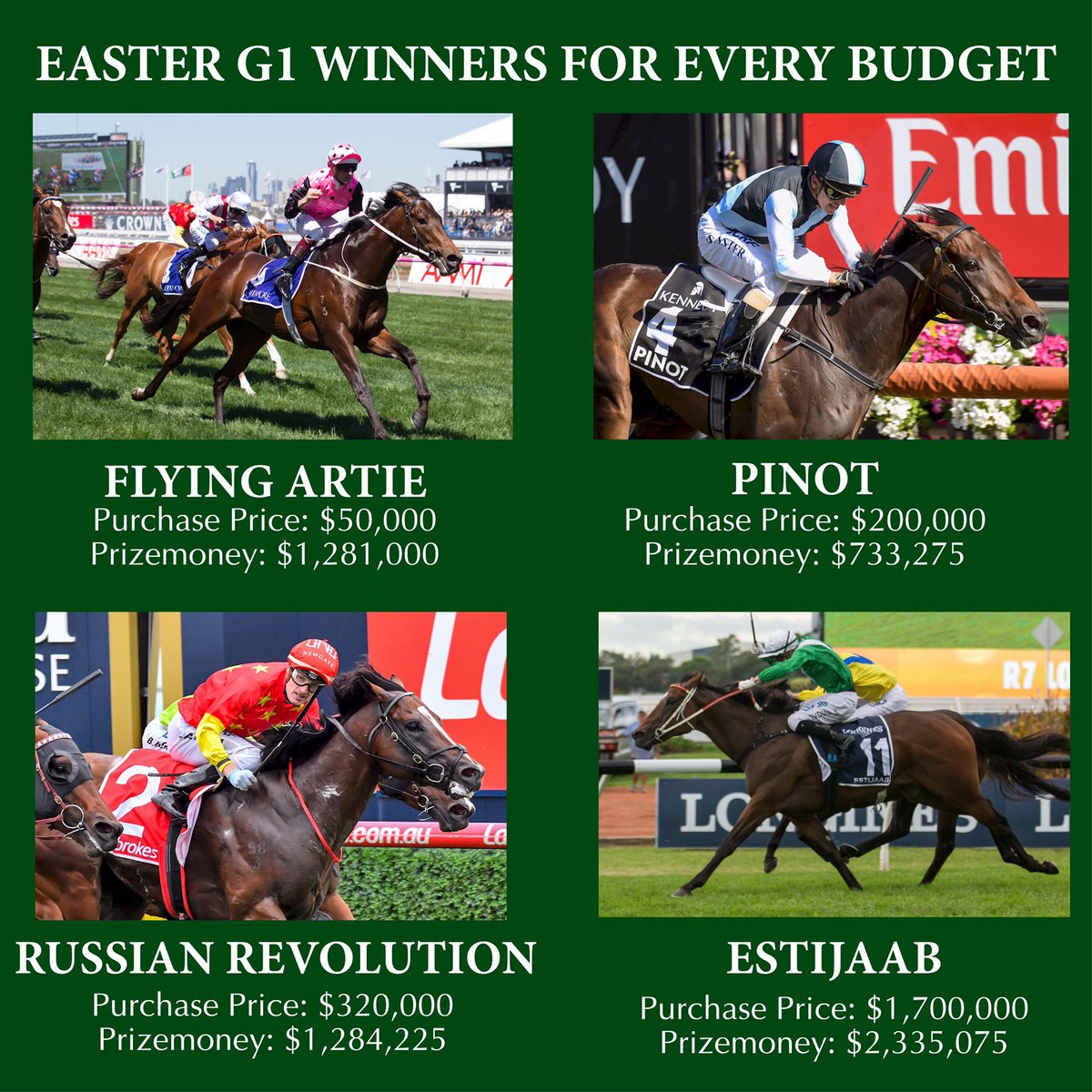 MarkWebsterCEO's tweet photo. As we enjoy the beautiful weather here @inglis_sales Riverside let's not forget we sell top line yearlings for #everybudget #everyonewelcome https://t.co/ydbYMcUc55