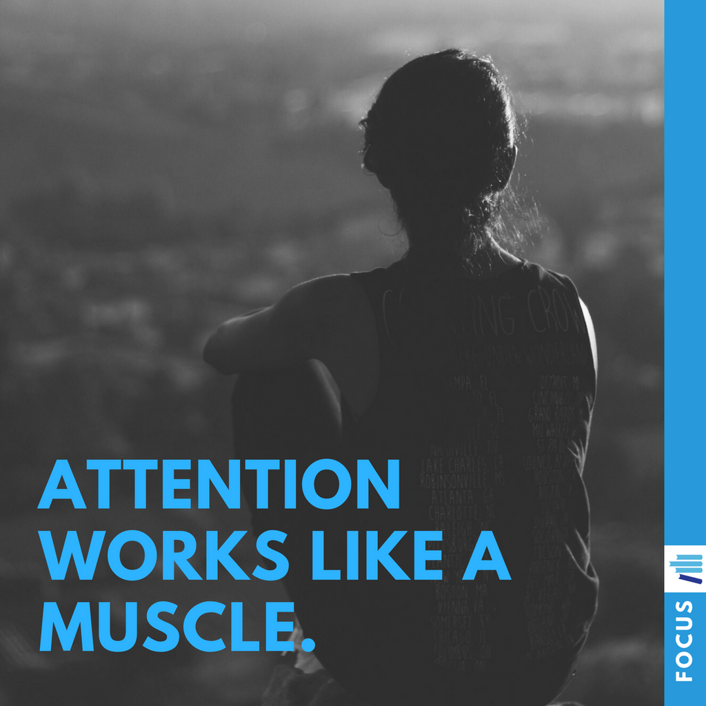 davejfred's tweet photo. Attention works much like a muscle. If you use it poorly, it can wither; work it well and it grows. Choose to strengthen this vital muscle of the mind. #leadersbooksummaries #wisdomwednesday #attention #workit #focus https://t.co/Fk3hvYyBpH