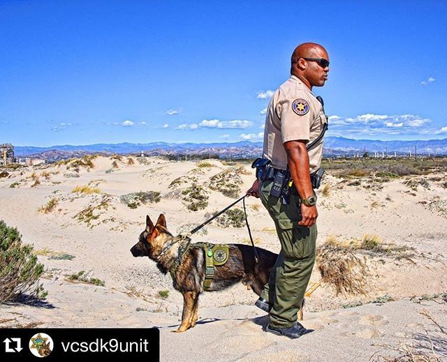 I got you 🐺💪💥
#k9storminc #idharness #desertdog #policedog #k9unit #sheriffk9 #gotyourback #eyesup #igotyou @vcsdk9unit .
Always watching your six. #K9partner #K9Yehven
📸: @christymaclean ift.tt/2JjAcKY