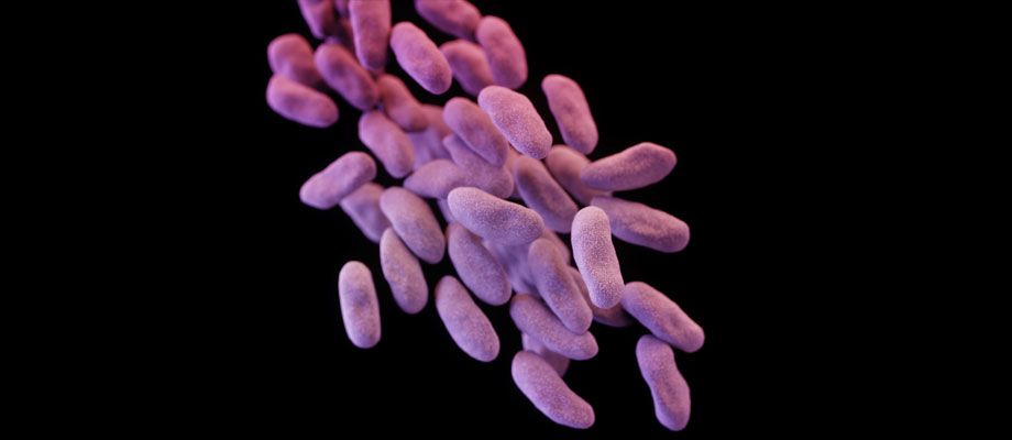 ASUGovDocs's tweet image. Containing Unusual #Antibiotic Resistance @CDCgov buff.ly/2GyHNI8