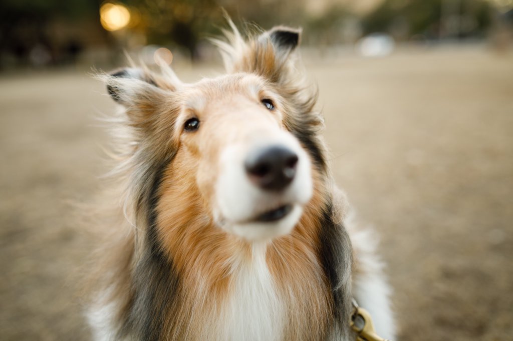 When you accidentally open the front facing camera but you still look ADORBS 💁‍♀️👑
