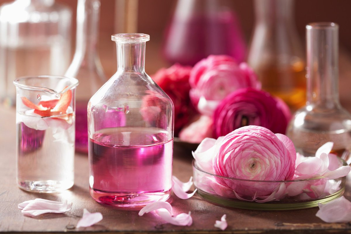 ヨーロッパ旅行 情報部 Auf Twitter 花と香水を楽しむ 南仏グラースを堪能するなら F T 細い坂道の街 国際香水 博物館で香りの歴史を楽しもう 咲き誇る数万本のバラ 5月のバラ祭 香水工場で自分だけの香りを グラース Grasse T Co