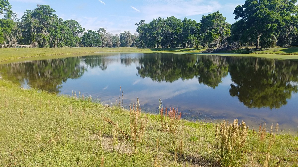 ccsautomations's tweet image. What a great day! Visiting Ocala future Wetland Groundwater Recharge Park! #ccsautomations #ccsdelivers #ccspics
