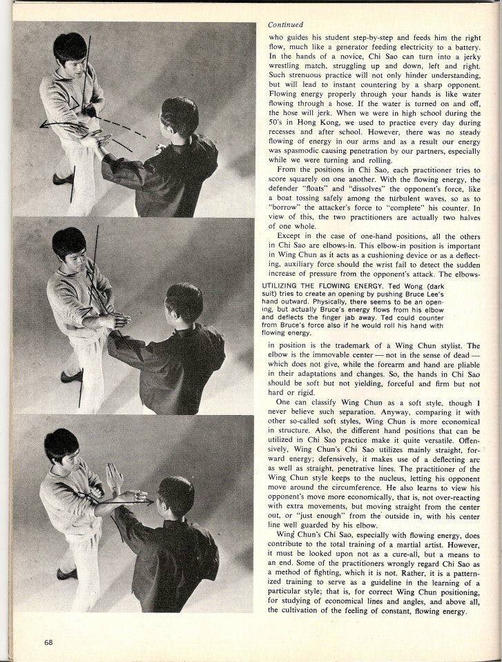 bruce lee chi