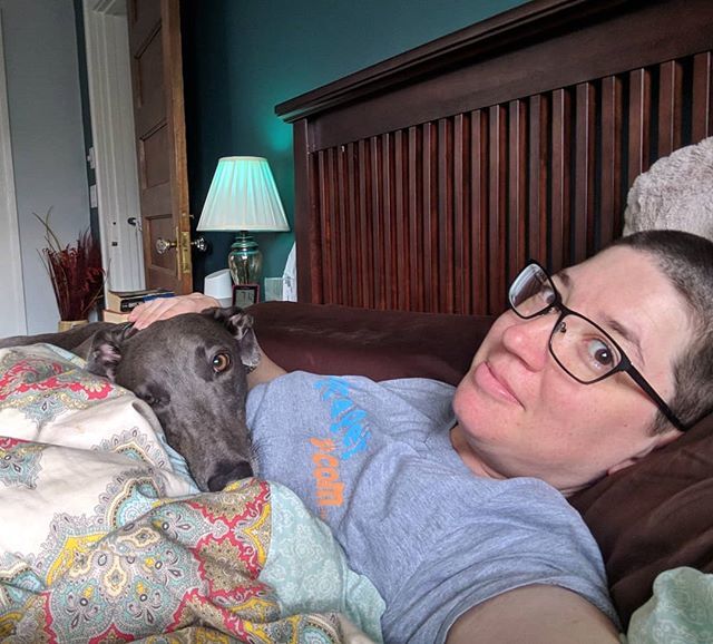 BeckyMcKimmy's tweet photo. 2018 365 Photo Project Day 94: This is part of why it is so hard to get out of bed in the mornings. #365photoproject #greyhounds #greyhoundsofinstagram #bluegreyhounds #widgettheblue #greyhounddaily #starcitygreyhounds #widgetthegrey https://t.co/9CxSl50wK9 https://t.co/OHRyr3ySwN