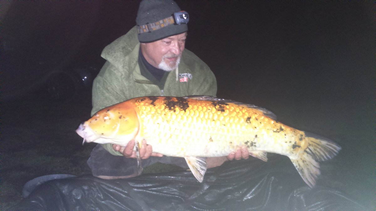 Mark Osman tweet media