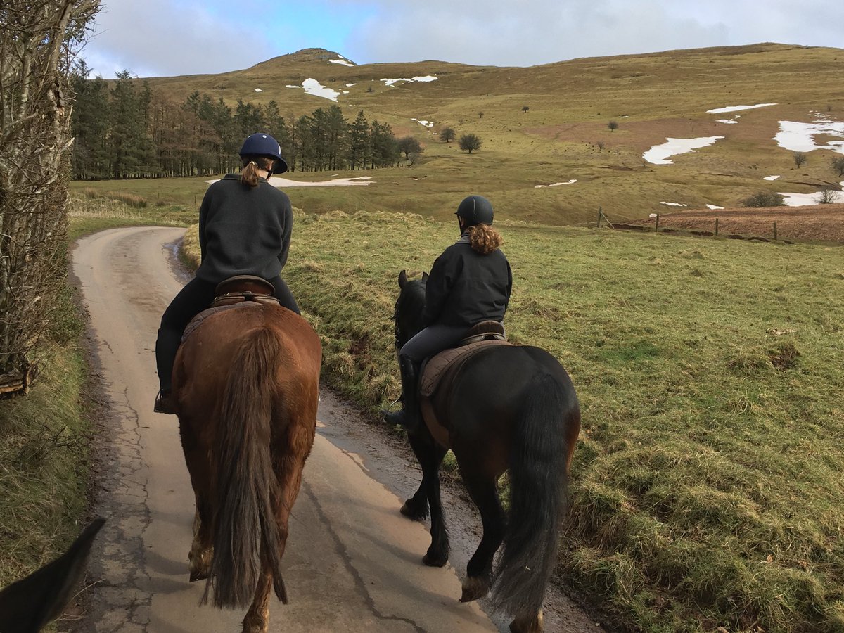 transwales's tweet photo. Two places this weekend 6-8th April, all inclusive riding weekend, Brecon Beacons, £300 per person flash sale. #horseridingholidaysgb #horseridingweekend #welshcobs #welshsecD #findyourepic #horsebackisbetter #thedifferenceisourhorses https://t.co/N5ggh0p6BQ
