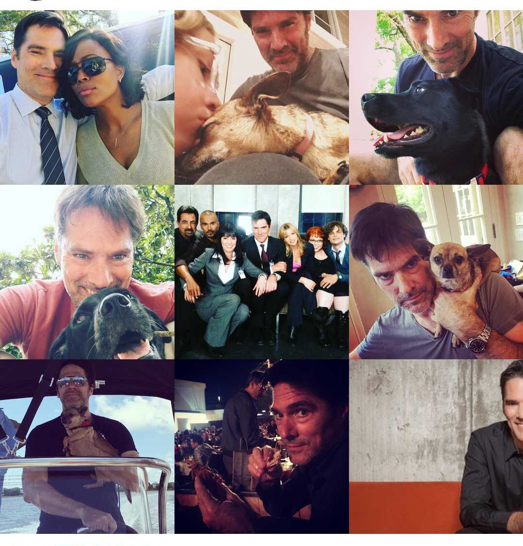 Iyoulikeme64's tweet photo. #ThomasGibson   Waiting for #ShadowWolvesTV https://t.co/7YYUzv4exQ