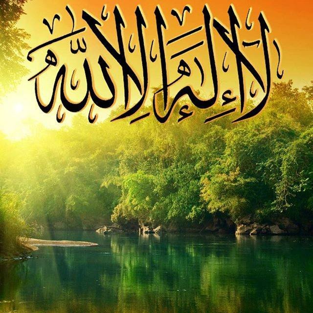 #صورة_ملف_شخصي_جديدة