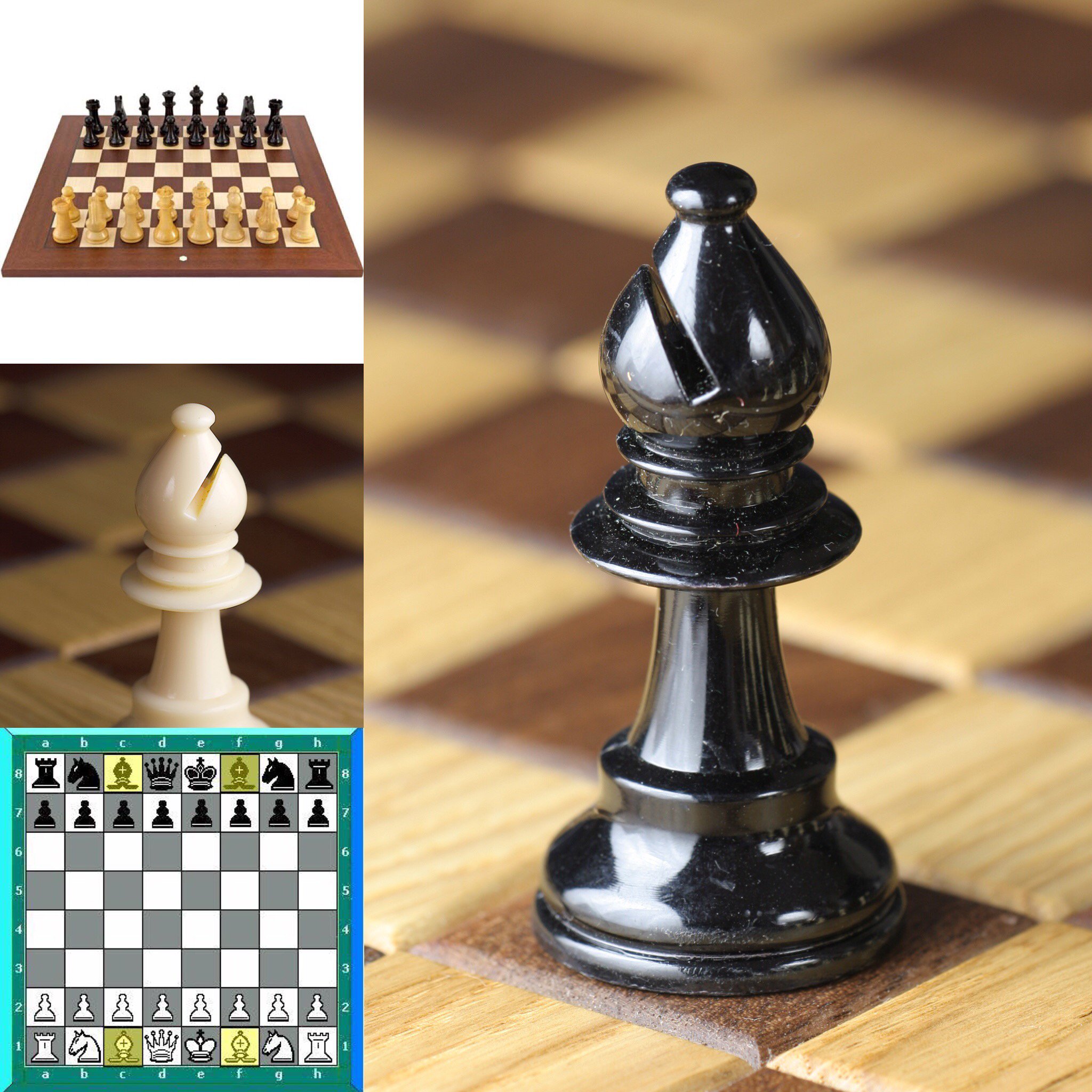 Chessgames Chess Community