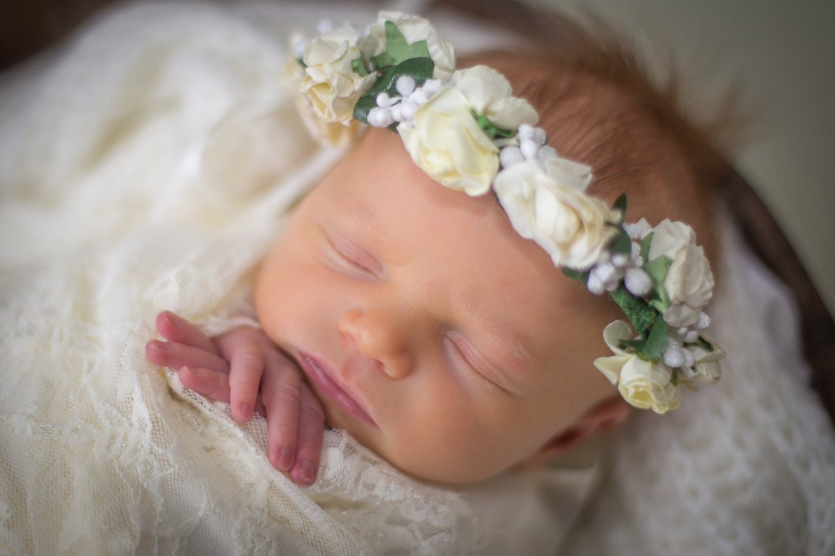 erin_nags's tweet photo. perfect baby ❤️❤️ https://t.co/dqd09EbXCu