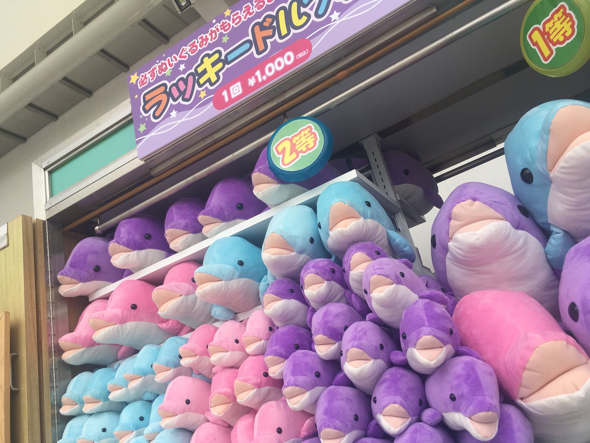 仙台うみの杜水族館 キュート イロワケイルカ ぬいぐるみ グッズ クッション 仙台うみの杜水族館 BC マスコット イロワケイルカブルー | 全