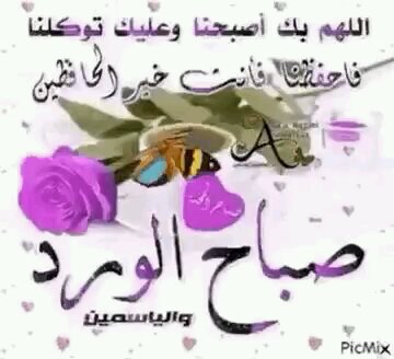 harimalmed2's tweet photo. @emyemanbaby @uZgv9pnMDqsdtXa https://t.co/dERihRmfnH