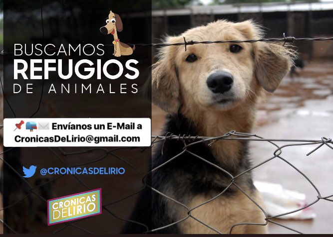 ⛔️Atención⛔️ 
REFUGIOS DE ANIMALES que quieran venir al programa a contar lo que hacen y poder ayudarlos desde la comunicación! Queremos ser el nexo entre ellos y las posibles familias para los animalitos sin hogar! Pueden contactarse a ✉️ CronicasDeLirio@gmail.com RT!