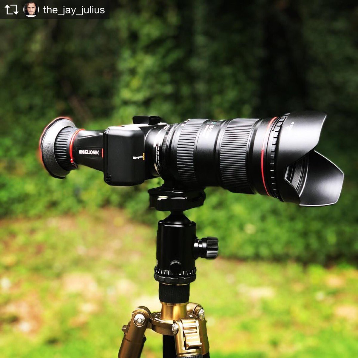 ManiosDigital's tweet photo. Shout out to for this stunning setup shot with his Kinotehnik LCDVF BM Optical Viewfinder 🎥📸#lcdvf #kinotehnik #lighttheway #sonyphotographer #blackmagic #blackmagiccamera #sony #fs5 #eva1 #panasonic #panasoniceva1 #maniosdigitalfilm #cinematographer https://t.co/qjrLKdSFIT