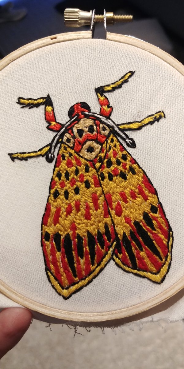 jayveyor's tweet photo. Desperately needed to do something a little tactile after all the coding, and this is that something! I actually took a progress pic every hour and assembled it into a gif, but since twitter won't let me upload that it's here
https://t.co/doOkViip96 https://t.co/R7HhmFdhq7