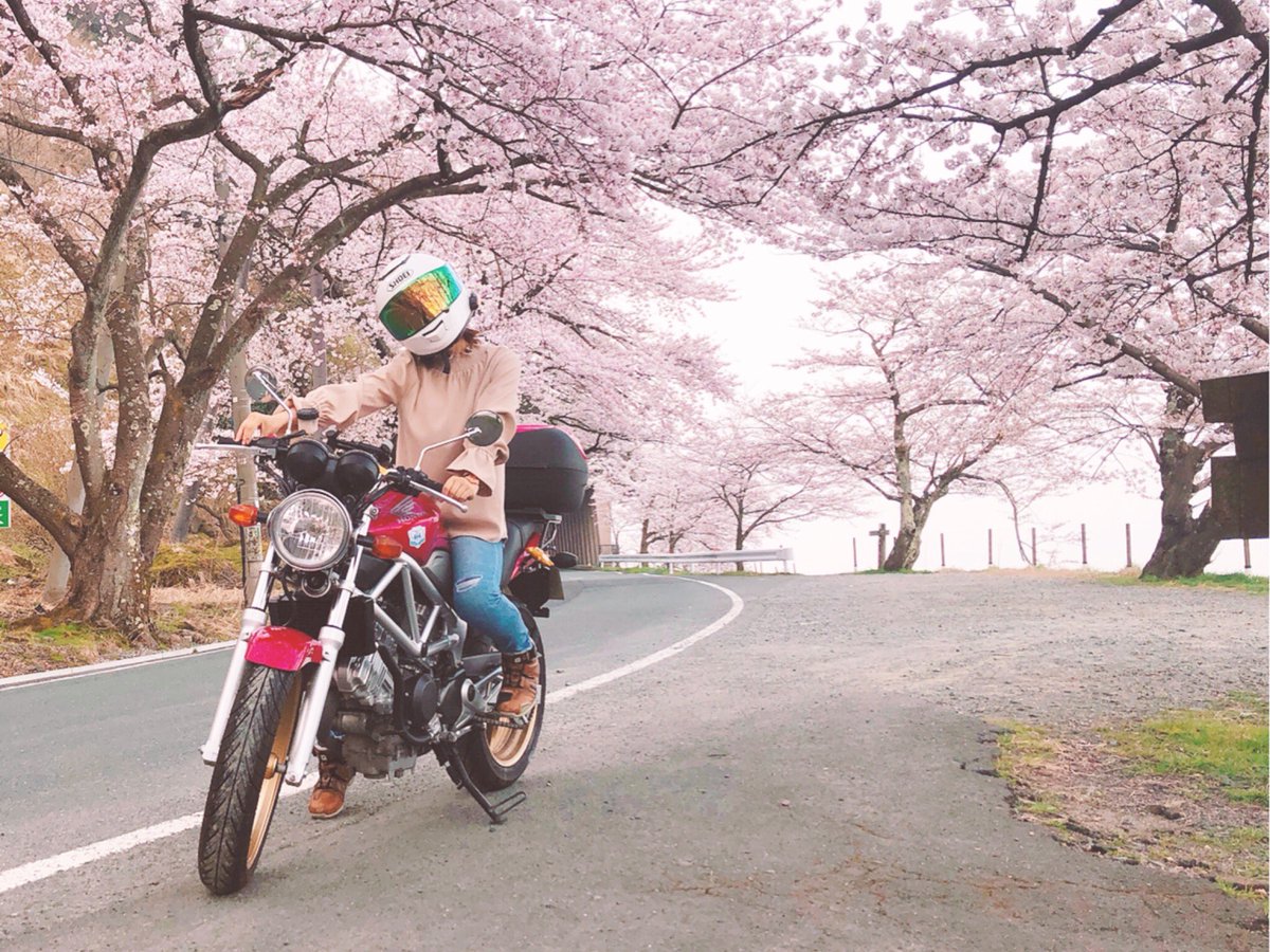 桜バイク
