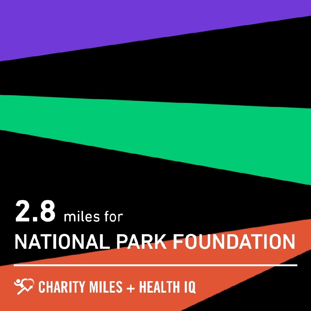 arw11991's tweet photo. 2.82 @CharityMiles for @goparks. Thanks to @healthiqinsure for sponsoring me. 
https://t.co/NlszaZb9h9 https://t.co/N1g4aJ1lV0