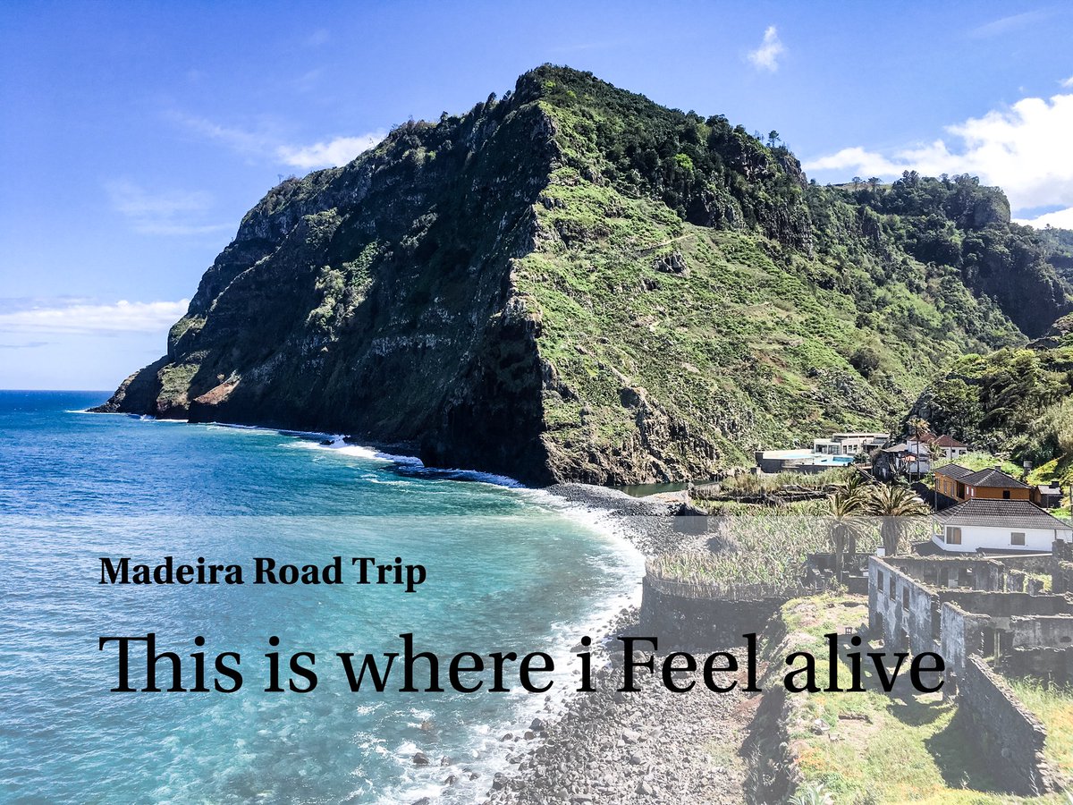 MadRoadTrip's tweet photo. This is where i feel alive !
Letโs book your trip now .
https://t.co/8RHsu5PHOA
#madroadtrip #madeiraroadtrip #visitmadeira #madeiraisland #madeira #explore #vanlife #freedom #roadtrip #ontheroadagain #nomadlife #vwcombi #campervan #adventure #VisitMadeira #airbnb https://t.co/bEGPrL3R9S