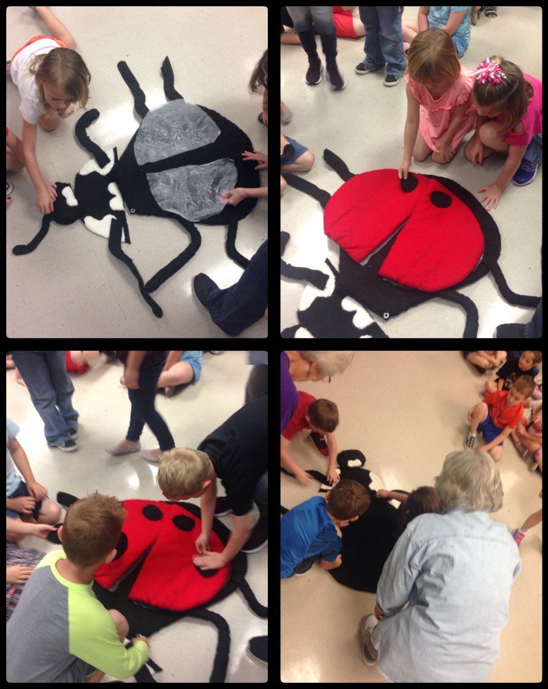 willluvkinder's tweet photo. #FrameMagic7 We enjoyed learning about ladybugs today. Thank you Master Gardeners. @bearbranchelem https://t.co/XB1q2xFA7P