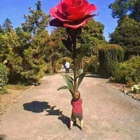 sofianerayz's tweet image. What means this pictur