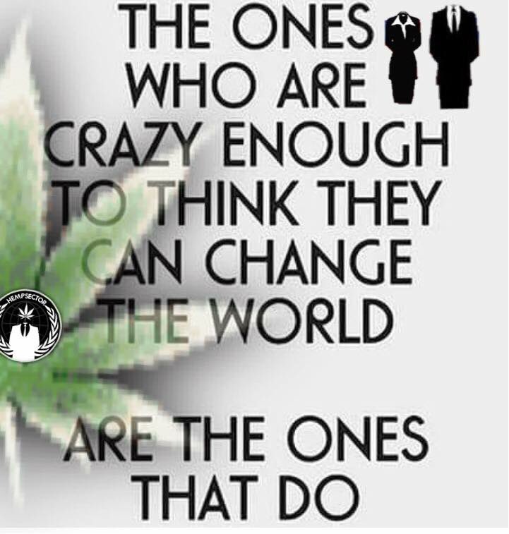 HempsectorKerry's tweet photo. https://t.co/y47yokqpro