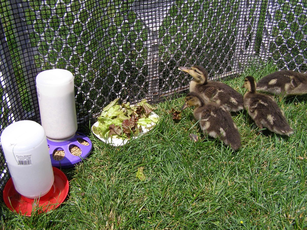 Wildlife Sanctuary tweet media