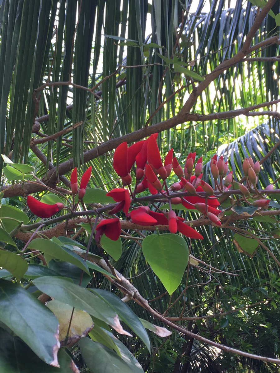 Son Tra Nature Reserve, Vietnam