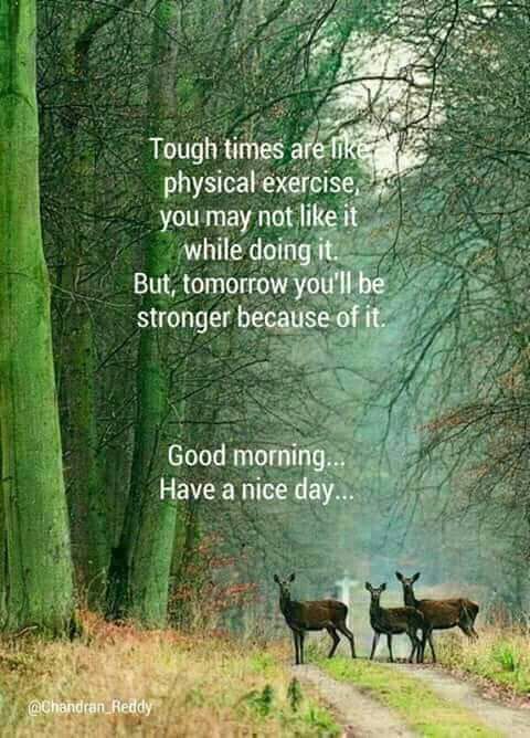 julushah's tweet photo. @Amen24 @PLEASETIME1 @ramkaran_khatri @GanpatLal_15881 @r95731 @sapnajoshi122 @RAJESHT28209701 @wetwokrishna @GCHDutta @Akpattnaik25 @sanjay_khattri @Yuvraj_kt @Swwagatam @Samanpriyankar6 @Swastik1212 @hindi_sayri @SatyaSumit @RameshbhaiKLat3 @Bhupendrachat18 @Somnath08976511 @Shailendrawarad @devinderraiji @devendratiwary3 @KVajpayaee @1Virendrapratap @VaronikaVks @RaviiKaushik @Chandra1Vinod @26anjal_sniper @_sada_e_haq @NiranjanTripa16 @ArunPat17658930 @6_mariver @AhmedSaudager @amhallwva @neeti_ns @RAJESHY38489366 @bindasrangoli @ZindagiTrack @Krishna9936170 @NaveenTiku @Krishna52171532 @JangidSukesh @SanjayS00663282 @sunnyziony777 @SanjayVaidya33 @dawar_l @RPDULAR @RAVIMIS95461040 @InduMishra11 #CyberSecurity #TuesdayThoughts #ReadyForTheWorld #QuoteKekinian #snow https://t.co/0VMrcR9kQS