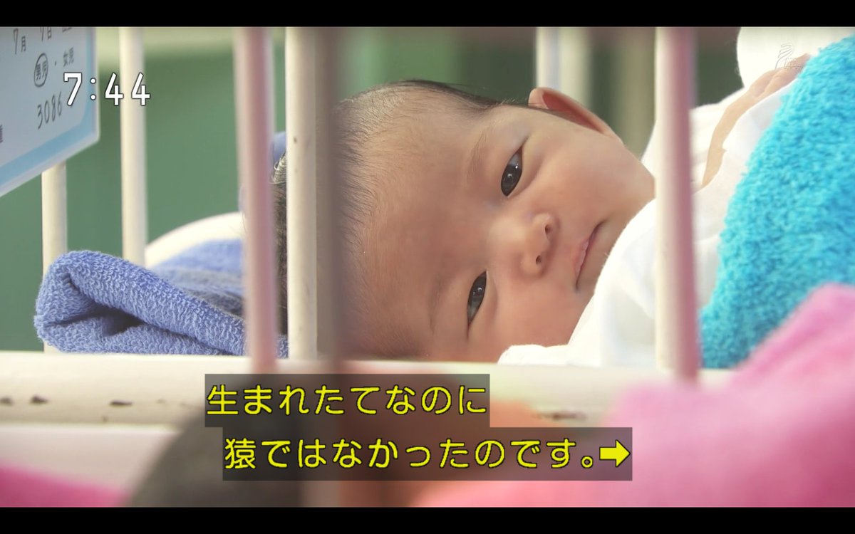 わび さび 赤ちゃん大喜利 猿と律 シュールというか セルフナレが新しい 斬新なる 大人声 心の声 聴こえてくるw Ipponグランプリ での大喜利のように 1971年7月7日生 さる女児 つるん男児 半分青い 7月7日 七夕 生まれ 永野芽郁 わび さび 赤ちゃん大喜利 猿と律 シュールというか セルフナレが新しい 斬新なる 大人声 心の声 聴こえてくるw Ipponグランプリ での大喜利のように 1971年7月7日生 さる女児 つるん男児 半分青い 7月7日 七夕 生まれ 永野芽郁