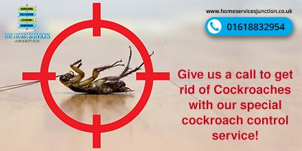Don’t let cockroaches get a share in your home. Give us a call and we’ll take care of them for good with our cockroach control!
#cockroachcontrol #pestcontrol #manchester #homeservicesjunction #pests  #cockroach 
crwd.fr/2In5hwc