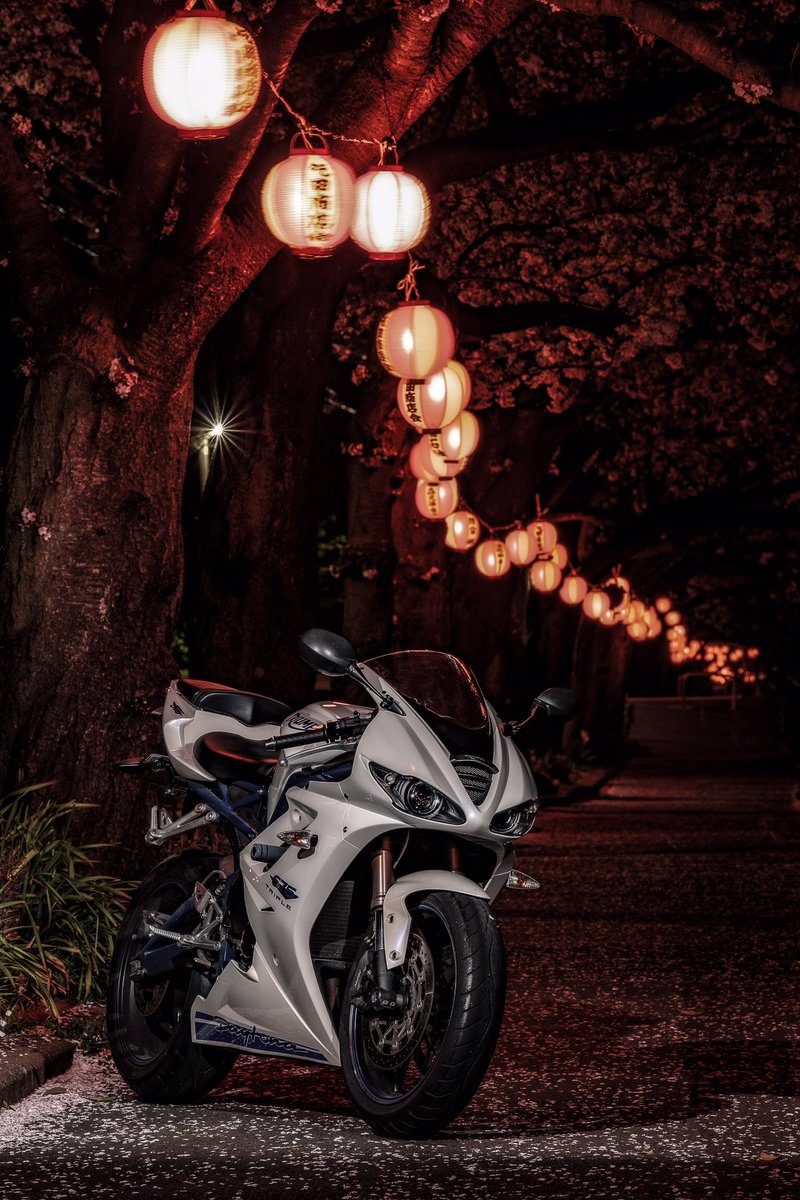 tanaka_real_'s tweet image. 素敵なお写真ですわあ。撮影@SHIRUKO8 #Triumphが美しい