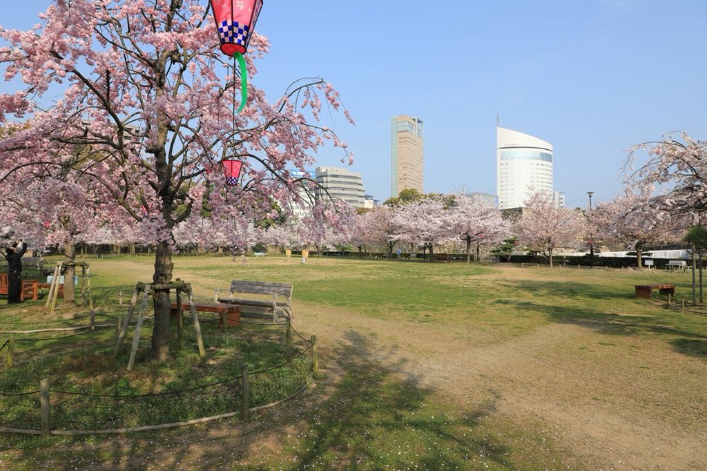 史跡高松城跡玉藻公園さんのツイート 桜の馬場 4月3日 午前8時半頃のようす まだまだ見頃です 桜 見物夜間無料開放は4月8日 日 まで 17時30分 20時が入園無料です お仕事帰りに夜桜をお楽しみください 史跡高松城跡玉藻公園さんのツイート 桜の馬場 4月3日 午前8時半頃のようす まだまだ見頃です 桜 見物夜間無料開放は4月8日 日 まで 17時30分 20時が入園無料です お仕事帰りに夜桜をお楽しみください