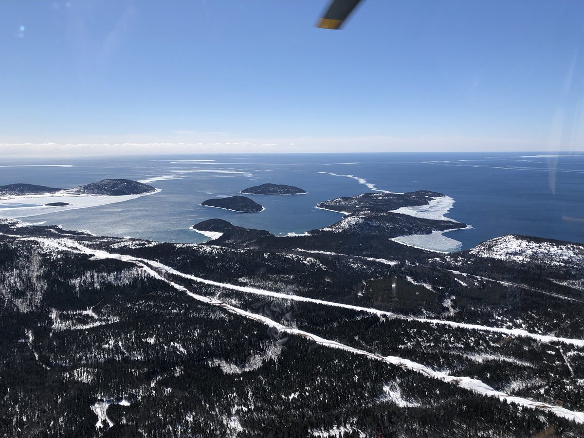 synergyaviation tweet media