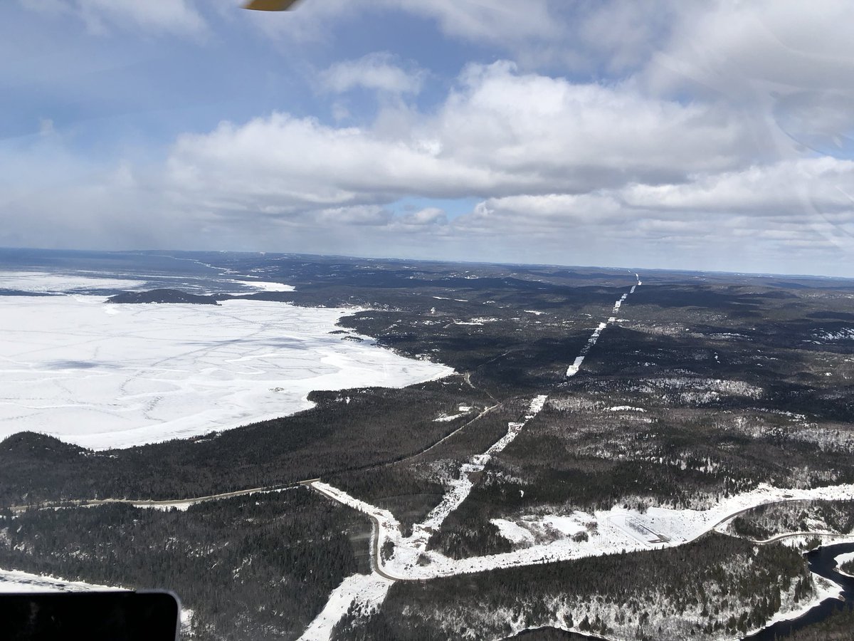 synergyaviation tweet media