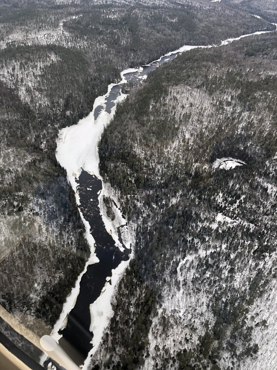 synergyaviation tweet media