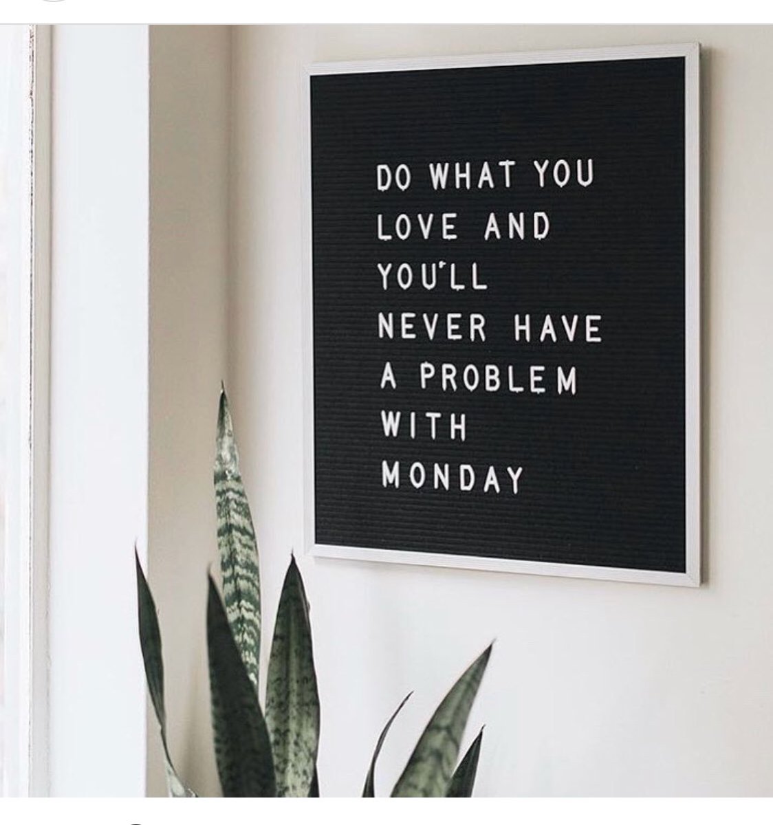 No Monday blues for us