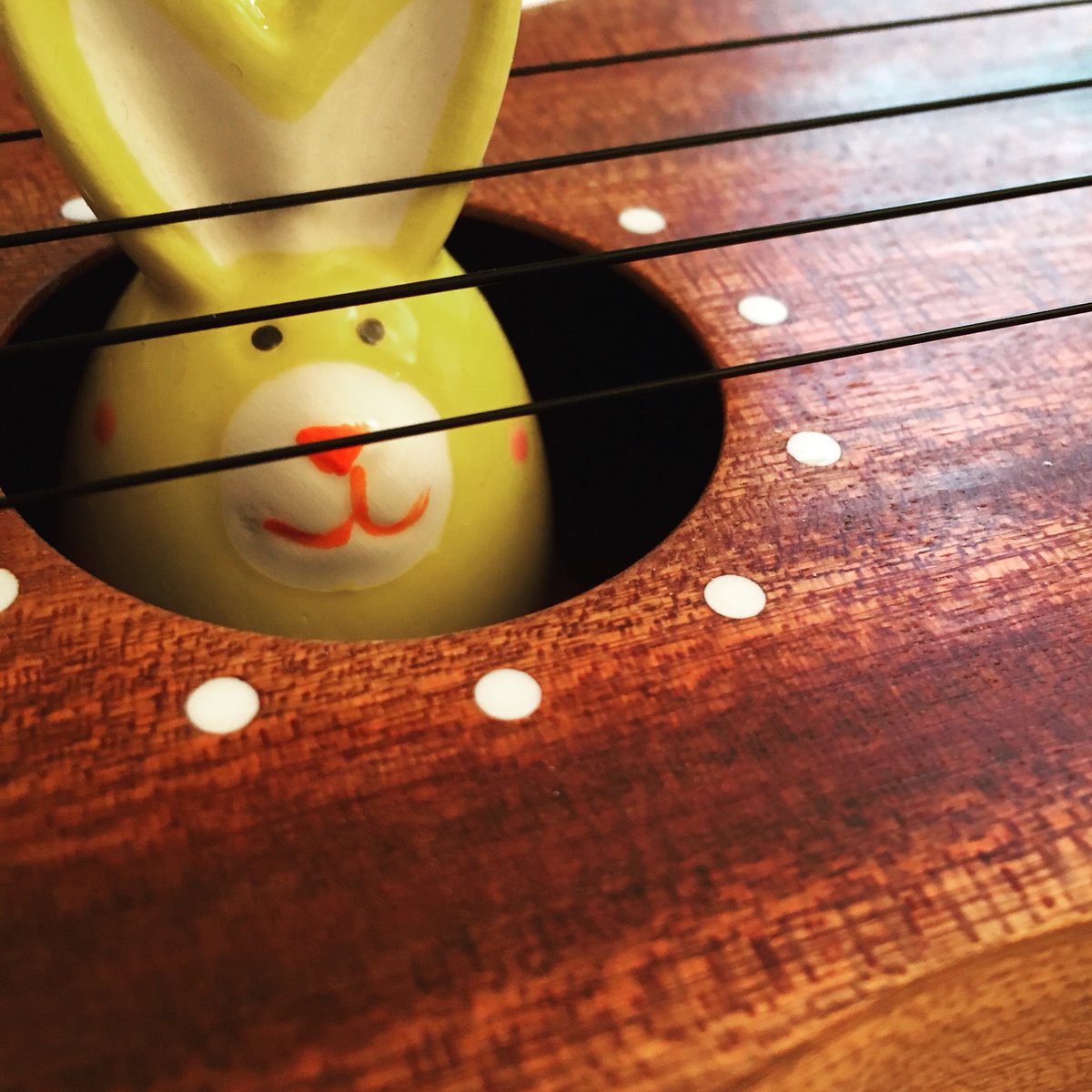 Ukulelezeit.de tweet media