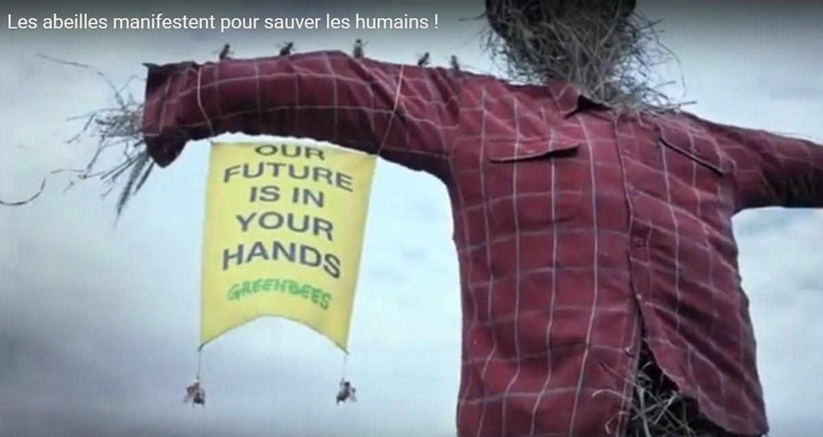 Quand <a href="/Greenpeace/">Greenpeace International</a> revisite de droit de #greve ...
bit.ly/2Jf9vav
#grevesncf  #Greves 
#Sauvonslesabeilles #SaveTheBees #abeilles #bees