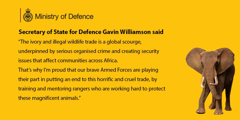 DefenceHQ's tweet image. Following the UK Government's consultation on a UK ivory ban, the UK will introduce a ban on ivory sales. #DefSec @GavinWilliamson says: