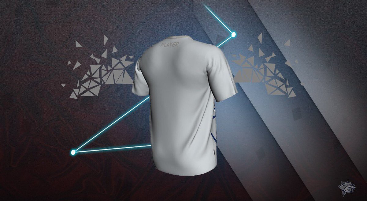 I N S A N I T Y tweet media