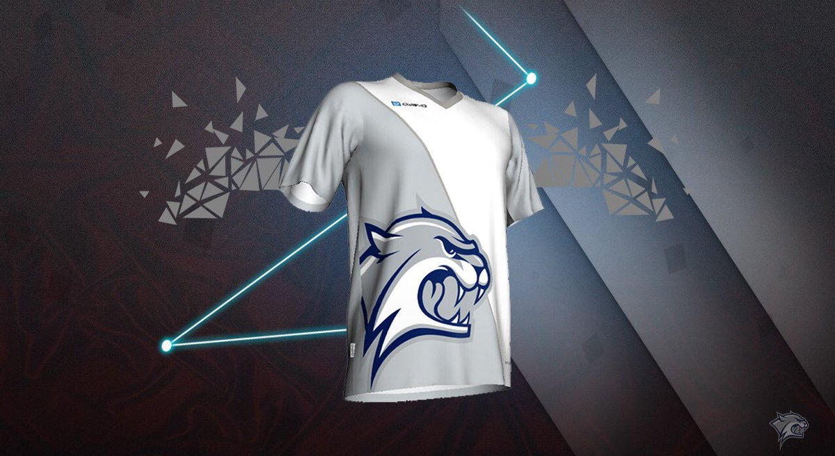 I N S A N I T Y tweet media