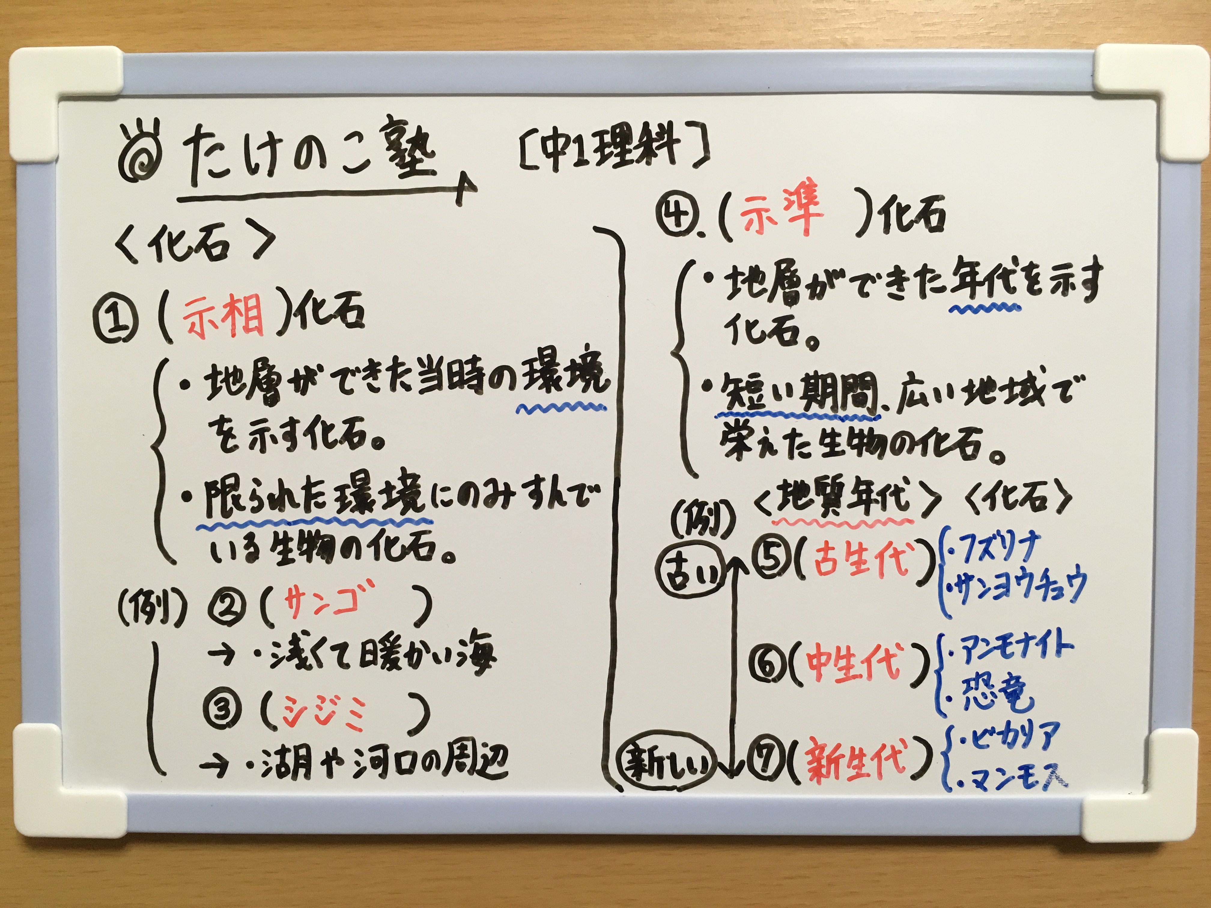 たけのこ塾 中1理科 今回は 化石 についての問題を作成しました 内容は以下の通りです 示相化石 サンゴ シジミなど 示準化石 地質年代 古生代 中生代 新生代 詳しくは画像の解説をご覧下さい 勉強垢 中1 理科 地学 Youtube