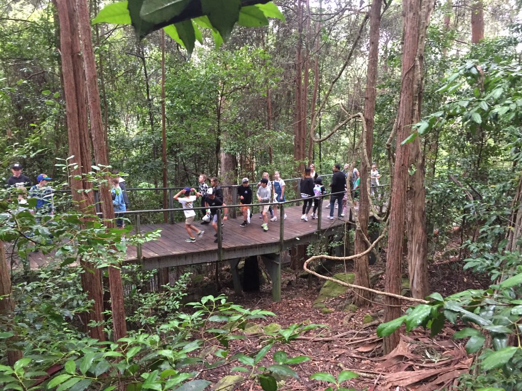 5W_CHM's tweet photo. A very overcast Scenic World https://t.co/4M7MqFjtYr