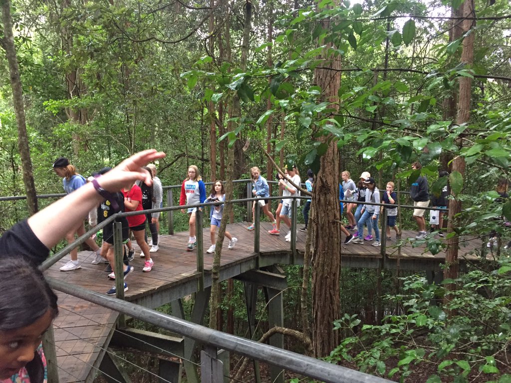 5W_CHM's tweet photo. A very overcast Scenic World https://t.co/4M7MqFjtYr