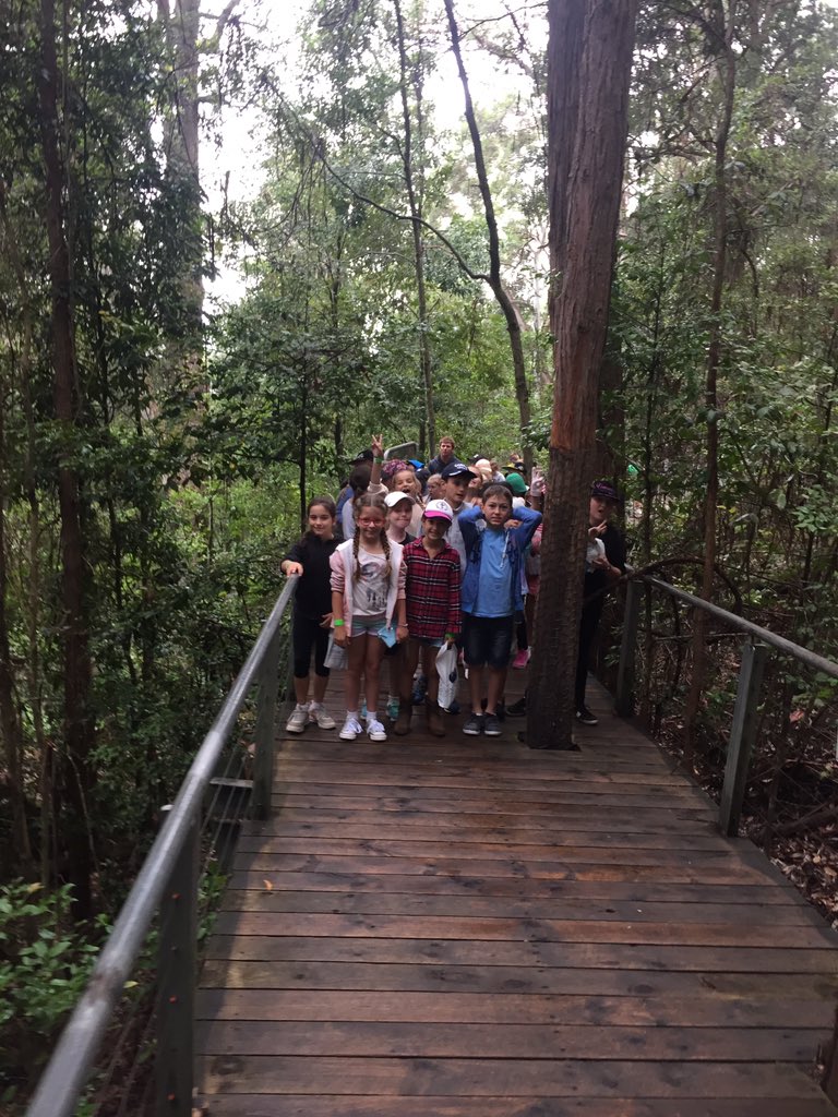 5W_CHM's tweet photo. A very overcast Scenic World https://t.co/4M7MqFjtYr